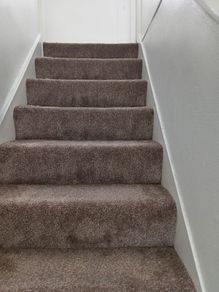 Carpet