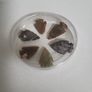 Indian arrow heads Image 6