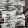 Dr Pen microneedle cartridge 16 pins Image 2