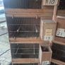 Single breeding cages Image 3