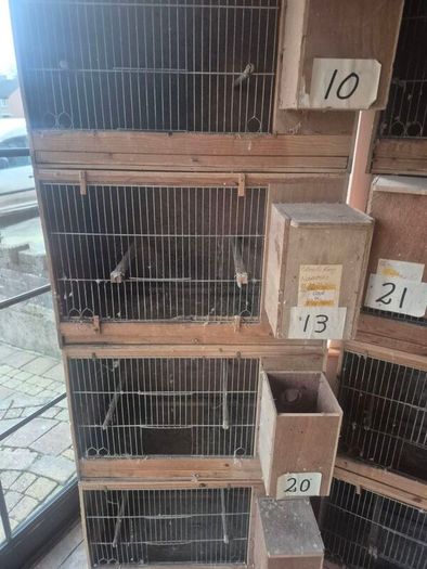 Single breeding cages