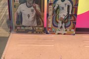 Panini Cards