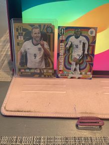 Panini Cards