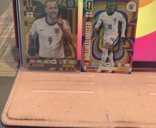 Panini Cards