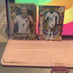 Panini Cards
