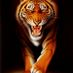billow