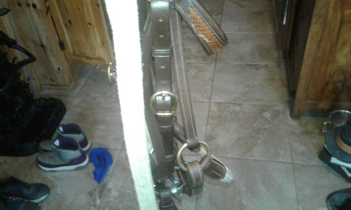 Bridle /bitless