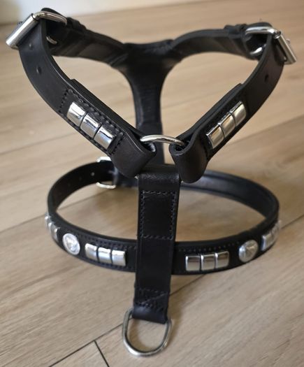 dog leather harness with free chain lead