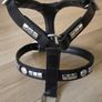 dog leather harness with free chain lead Image 2
