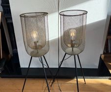 pair of azure mesh floor standing lamps