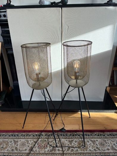 pair of azure mesh floor standing lamps