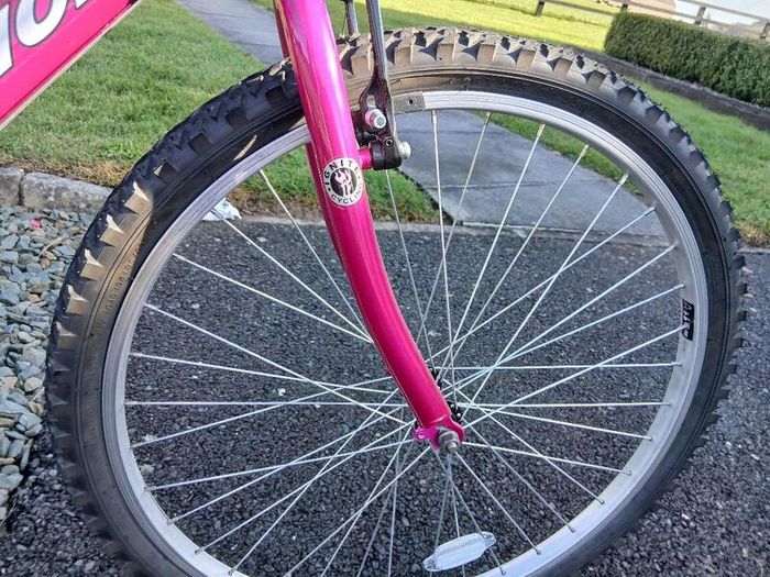 Girls Bike 26 Inch