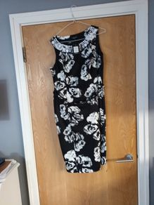 Collection  Dress. S.16.  B.N.W.T.