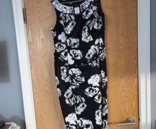Collection  Dress. S.16.  B.N.W.T.