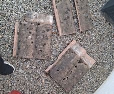 Roof tiles x 3 Damaged