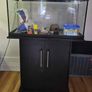Fish tank and accessories Image 9