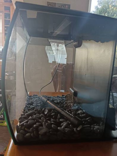 Fluval Flex 2 57l fishtank