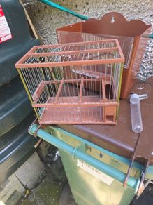 bird cage
