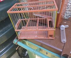 bird cage
