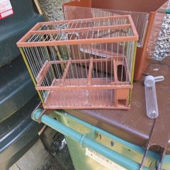 bird cage