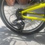 20" Ridgeback Image 4