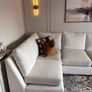 L Shape Couch Image 4