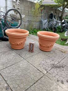 large flower pots