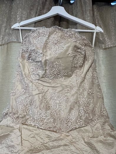 Champagne Wedding Dress & Swarovski Crystal Veil