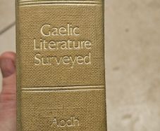 Gaelic Literature Surveyed.  By Aodh De Blacam. With Additional Chapter By Eoghan O Hanluain. 1973 Hardback In Good Condition.  See Photos For Same.
