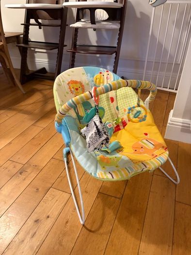 baby bouncer