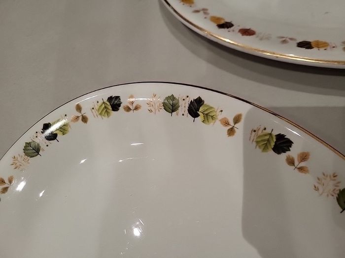 Large Arklow Oval plates Platters
