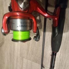 Fishing rods with reels