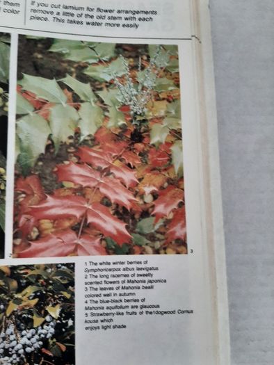 vintage new book flowers for everywhere 1974