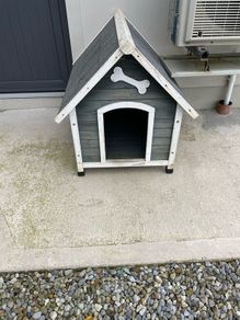 Dog Kennel and Crate (medium)
