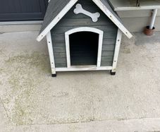 Dog Kennel and Crate (medium)
