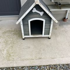 Dog Kennel and Crate (medium)
