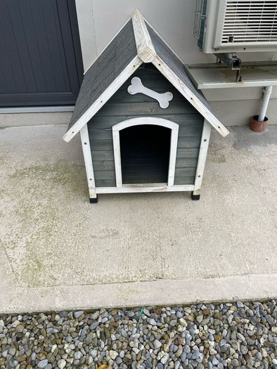 Dog Kennel and Crate (medium)