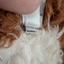 Jellycat Floofie St. Bernard Image 6