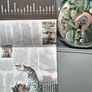 DVD Saving Private Ryan Image 2