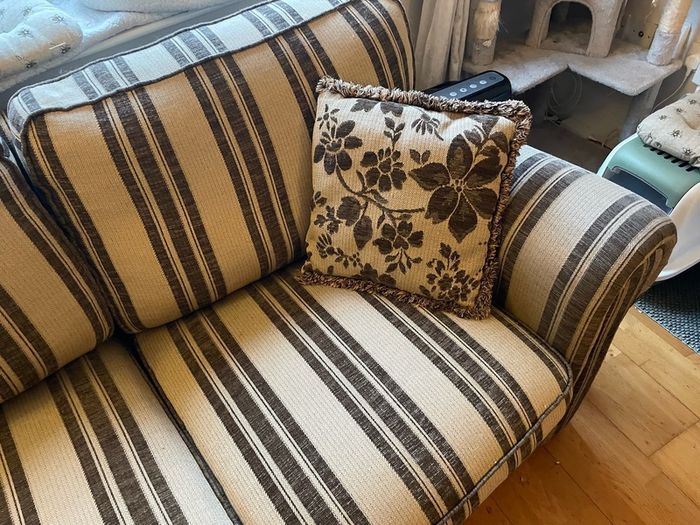 Beige and brown Couch with 2 cushions