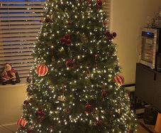 7 ft christmas tree