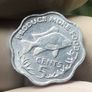 Seychelles 5 Cents 1977 Fish Low Mintage Image 4