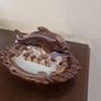 dolphin ashtray Image 3