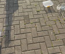 Reclaimed pavers for sale