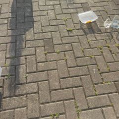 Reclaimed pavers for sale