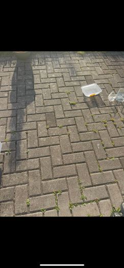 Reclaimed pavers for sale