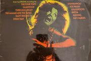RARE Steely Dan, The Mamas &amp; the Papas, Joe Walsh, Steppenwolf etc - vinyl compilation LP