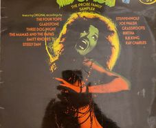 RARE Steely Dan, The Mamas & the Papas, Joe Walsh, Steppenwolf etc - vinyl compilation LP