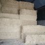 last year's barley straw Image 4