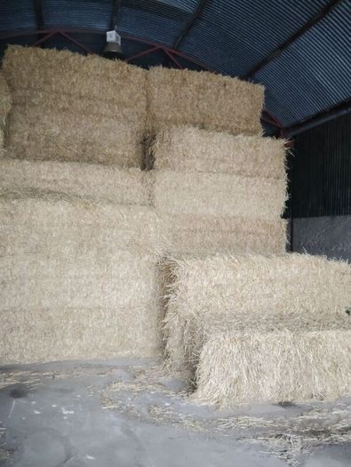 last year's barley straw